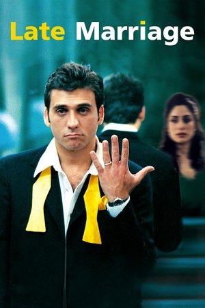 Watch Free Late Marriage (2001)