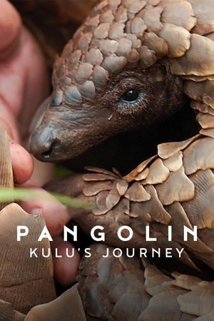 Watch Free Pangolin Kulus Journey (2025)