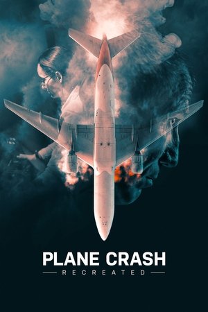 Watch Full Movie: Plane Crash Recreated (2021-)