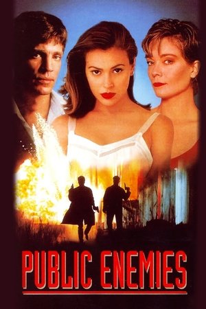Watch Free Public Enemies (1996)