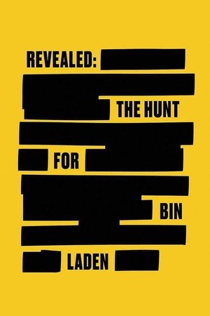 Watch Free Revealed The Hunt for Bin Laden (2021)