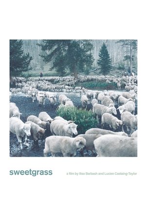 Watch Free Sweetgrass (2009)