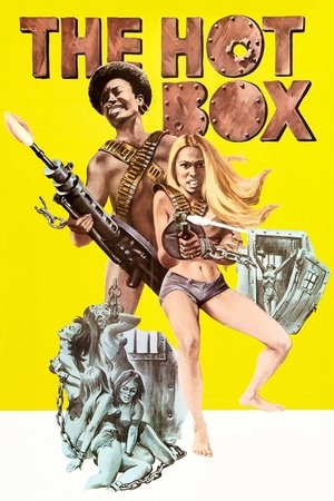 Watch Free The Hot Box (1972)