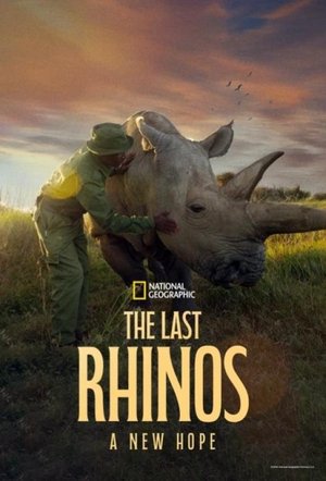 Watch Free The Last Rhinos A New Hope (2025)