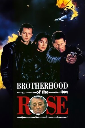 Watch Free Brotherhood of the Rose (1989)