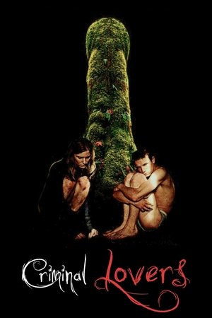 Watch Free Criminal Lovers (1999)
