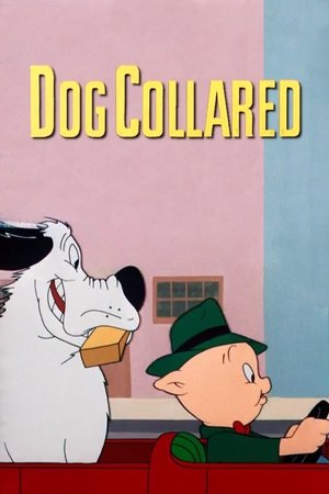 Watch Free Dog Collared (1950)