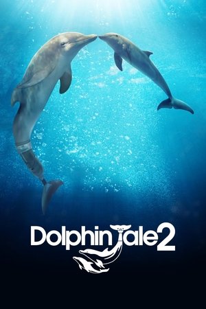 Watch Free Dolphin Tale 2 (2014)