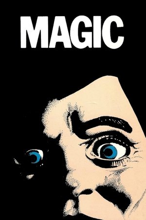 Watch Free Magic (1978)