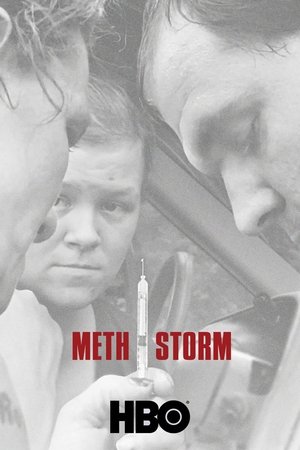 Watch Free Meth Storm (2017)