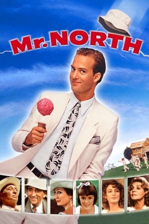 Watch Free Mr. North (1988)