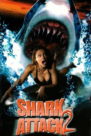 Watch Free Shark Attack 2 (2000)