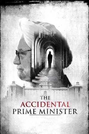 Watch Free The Accidental Prime Minister (2019)