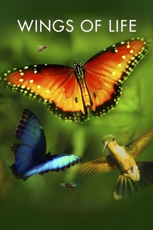 Watch Free Disneynature: Wings of Life (2011)