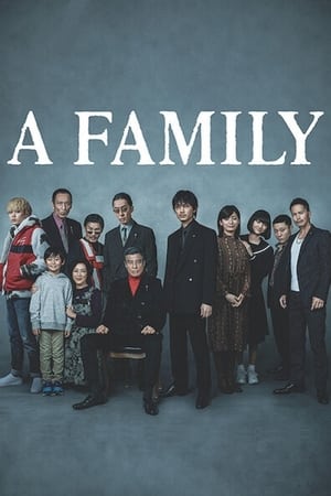Watch Free Yakuza and the Family (2020)