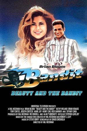Watch Free Bandit: Beauty and the Bandit (1994)