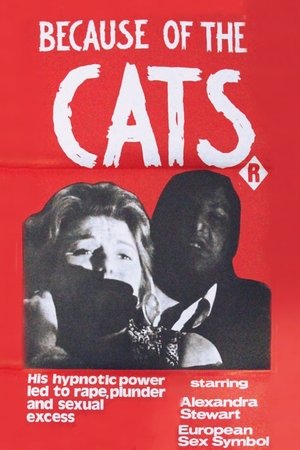 Watch Free Because of the Cats (1973)