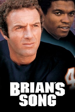 Watch Free Brians Song (1971)