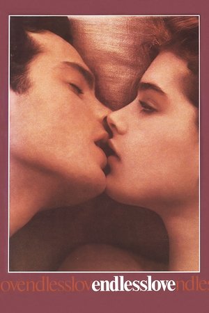 Watch Free Endless Love (1981)
