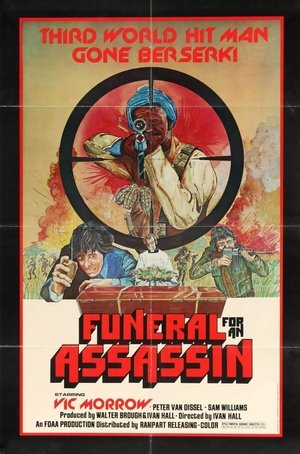 Watch Free Funeral for an Assassin (1974)