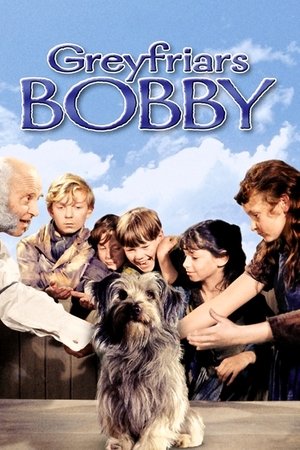 Watch Free Greyfriars Bobby: The True Story of a Dog (1961)