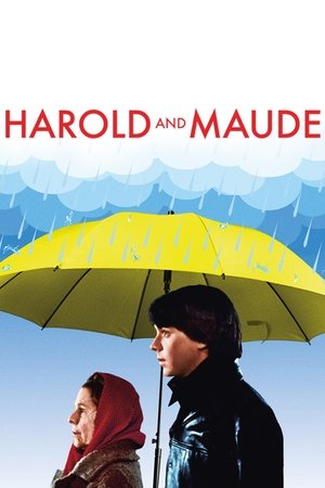 Watch Free Harold and Maude (1971)