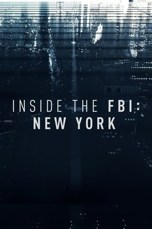 Watch Free Inside the FBI: New York (2017ï¿½)