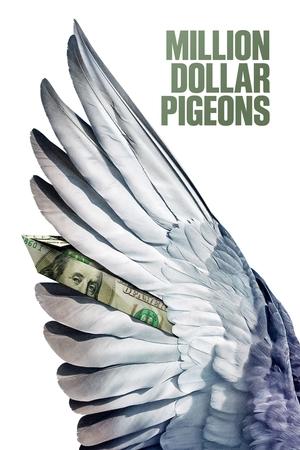 Watch Free Million Dollar Pigeons (2022)