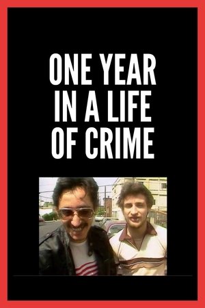 Watch Free One Year in a Life of Crime (1989)