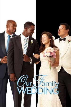 Watch Free Our Family Wedding (2010)