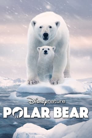 Watch Free Polar Bear (2022)