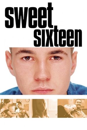 Watch Free Sweet Sixteen (2002)