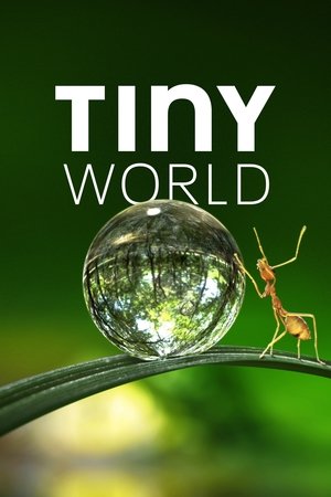 Watch Free Tiny World (2020 )