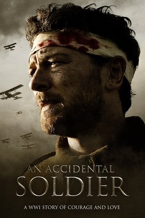 Watch Free An Accidental Soldier (2013)