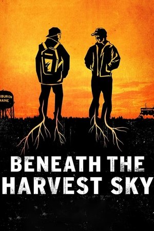 Watch Free Beneath the Harvest Sky 2013