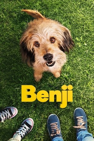 Watch Free Benji (2018)
