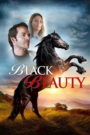 Watch Free Black Beauty (2015)