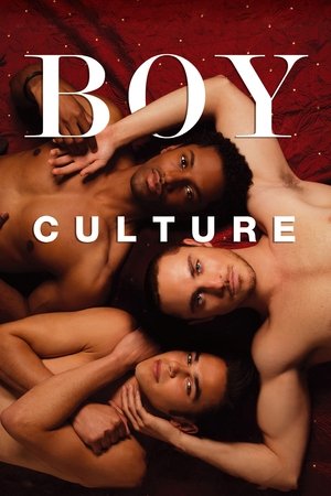Watch Free Boy Culture (2006)