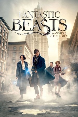Watch Free Fantastic Beasts and Where to Find Them (2016)