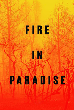 Watch Free Fire in Paradise (2019)