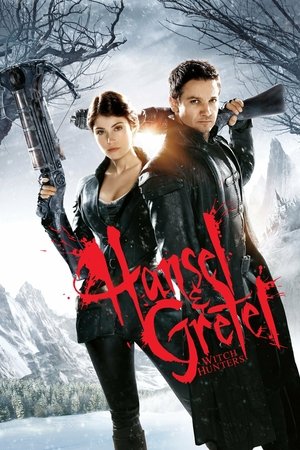 Watch Free Witch Hunters (2013)