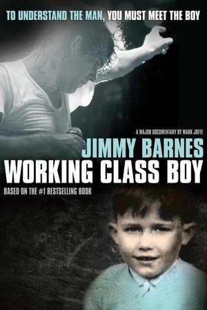 Watch Free Working Class Boy (2018)