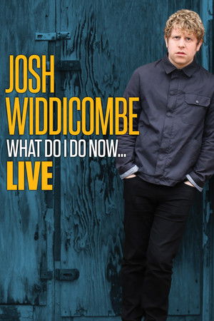 Watch Free Josh Widdicombe: What Do I Do Now (2016)