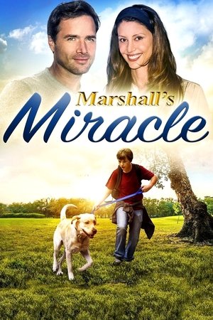 Watch Free Marshalls Miracle (2015)