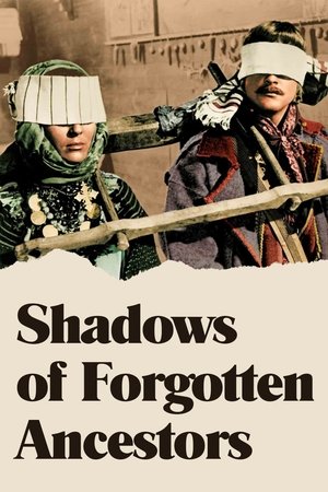 Watch Free Shadows of Forgotten Ancestors (1965)
