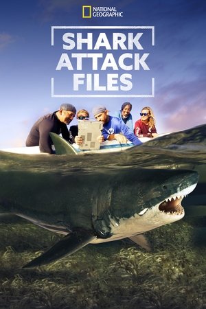 Watch Free Shark Attack Files (2021 )
