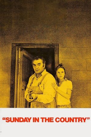 Watch Free Sunday in the Country (1974)
