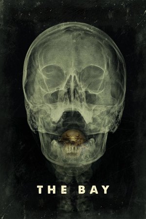 Watch Free The Bay (2012)