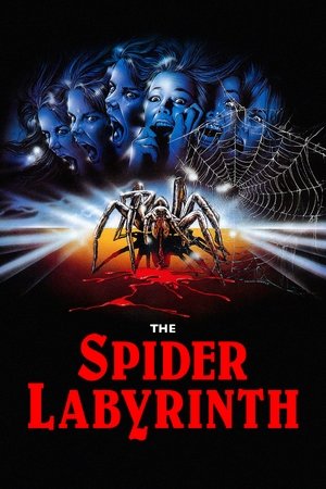 Watch Free The Spider Labyrinth (1988)