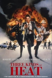 Watch Free Three Kinds of Heat (1987)